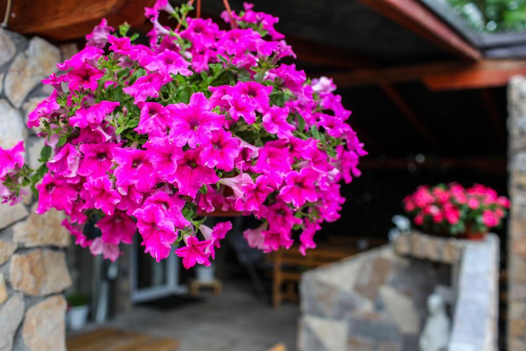 Ana Stjepan Nikolic - Pilgrim'S 2Nd Home Medjugorje Exterior photo